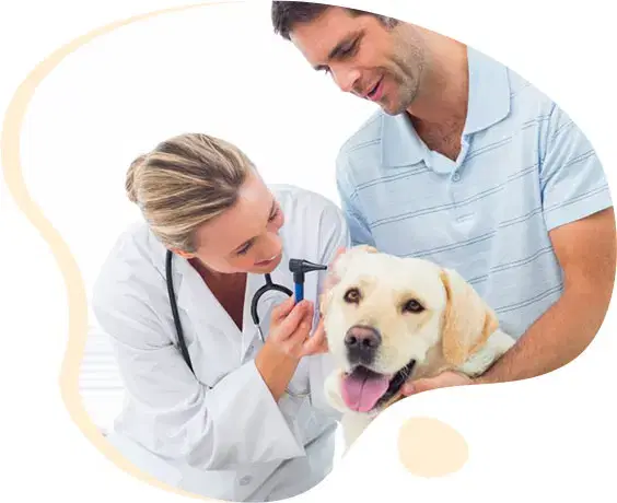 Veterinarians.com