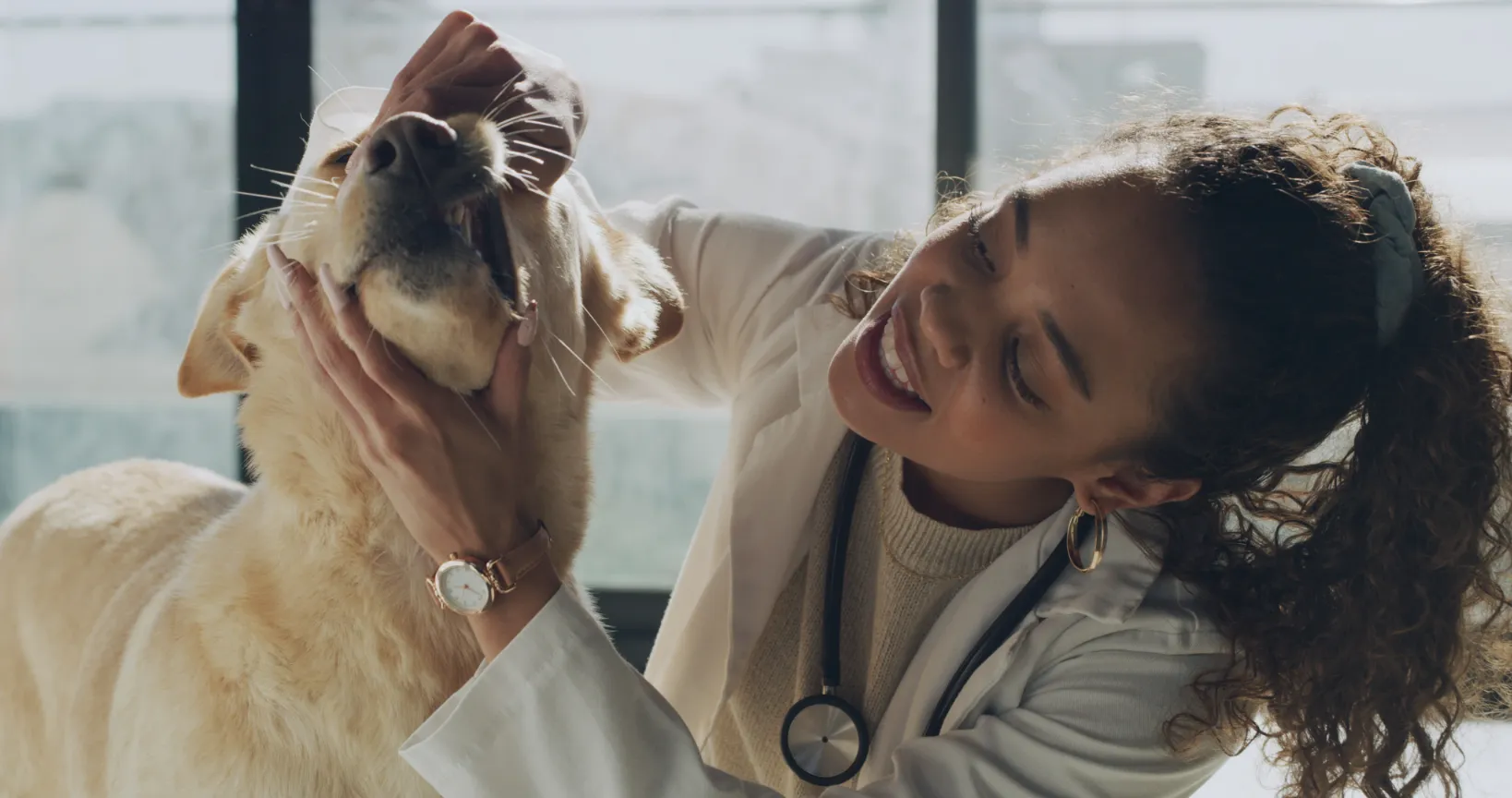 vet-checking-dog-teeth